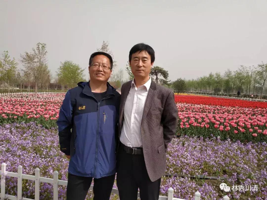 最新财经新闻与心灵之旅，自然美景中的内心宁静与平和探寻