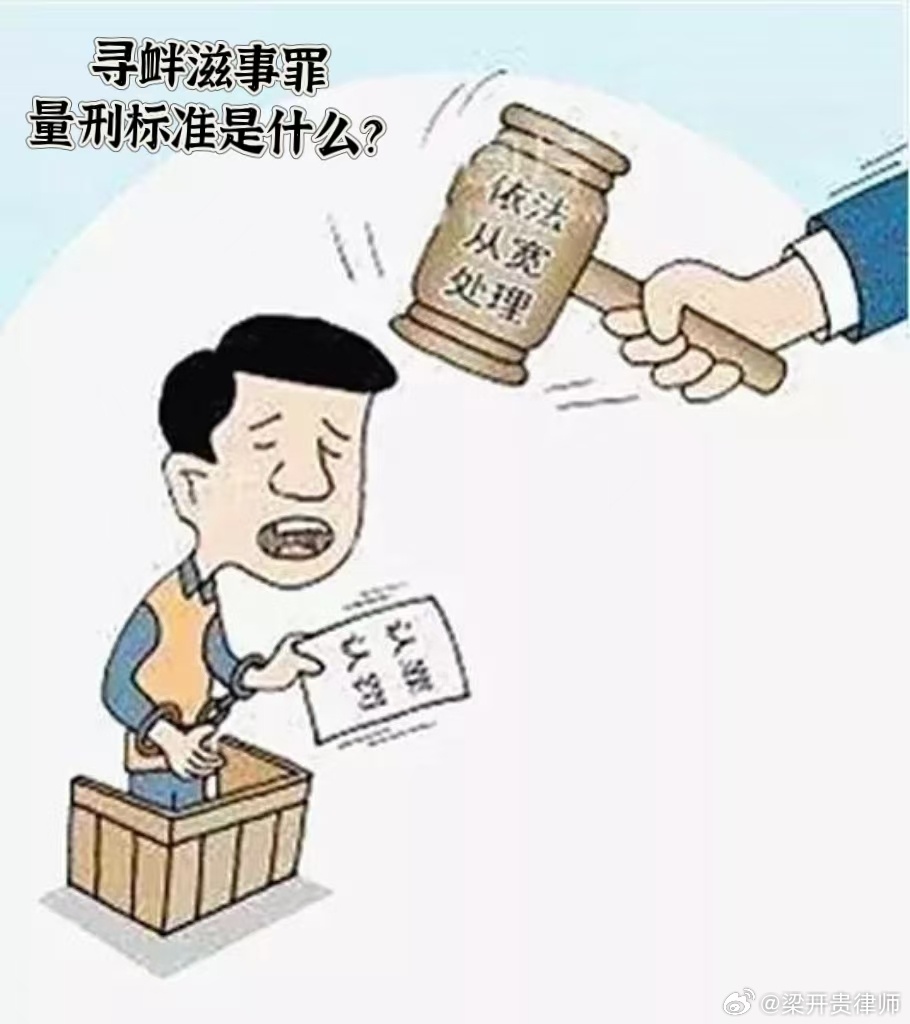 寻衅滋事罪最新司法解释，变化中的学习与自信的力量解读